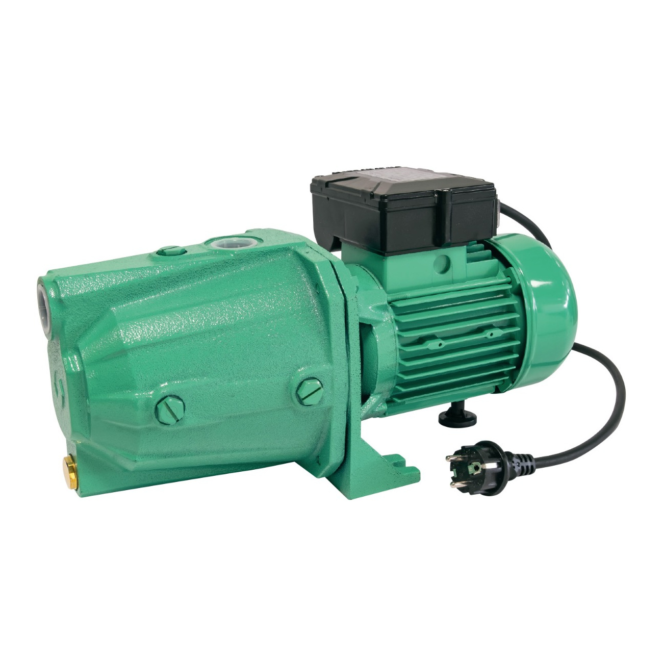 Насос поверхностный MARINA CAM 100/A-HL